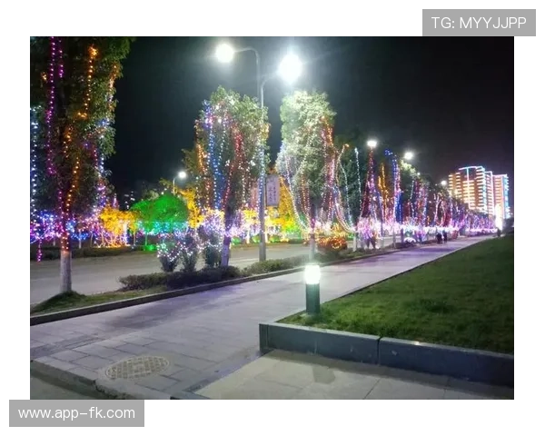 大庆十一选五最新开奖结果查询与历史走势分析